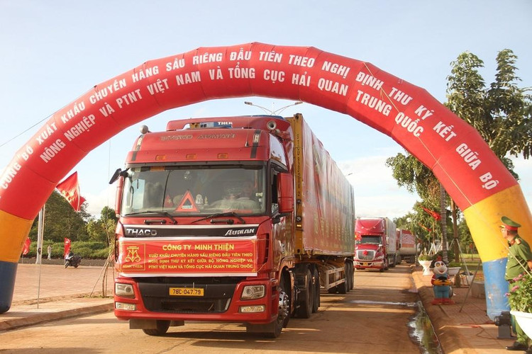 Những chiếc xe container chở sầu riêng tươi đầu tiên xuất khẩu sang Trung Quốc theo đường chính ngạch.