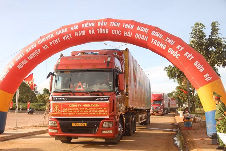 Những chiếc xe container chở sầu riêng tươi đầu tiên xuất khẩu sang Trung Quốc theo đường chính ngạch.
