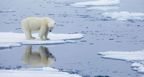 Tổ chức Khí tượng Thế giới (WMO): Khí hậu đang biến đổi nhanh chóng ảnh 1