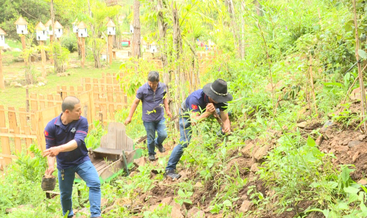 Các đơn vị tham dự đã tổ chức trồng hơn 100 cây mai anh đào tại xã Lát, huyện Lạc Dương. Các đơn vị tham dự đã tổ chức trồng hơn 100 cây mai anh đào tại xã Lát, huyện Lạc Dương.