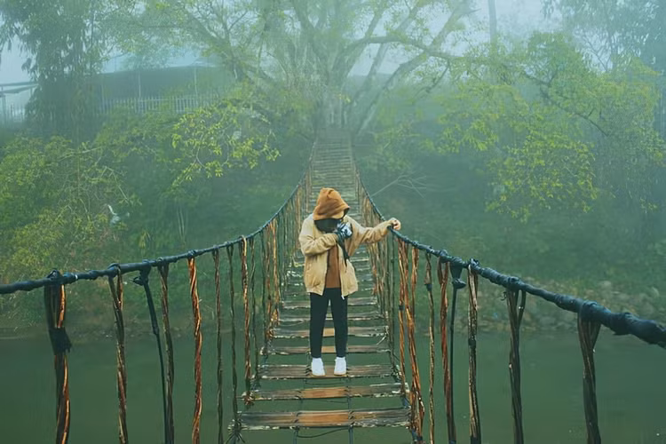 Cầu mây Tả Van được xây dựng với mục đích nối liền thị xã Tả Van và trung tâm thị trấn Sapa, giúp cho việc di chuyển của người dân địa phương trở nên thuận tiện hơn.