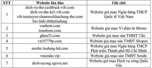 Cảnh báo hàng loạt website giả mạo, lừa đảo người dùng Internet cần tránh ảnh 1