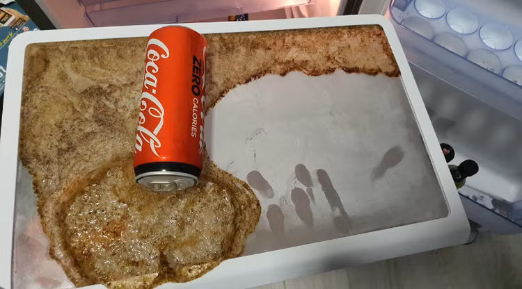 Tuyệt đối không để nước ngọt có gas, khí dễ cháy trong ngăn đá. Ảnh minh họa