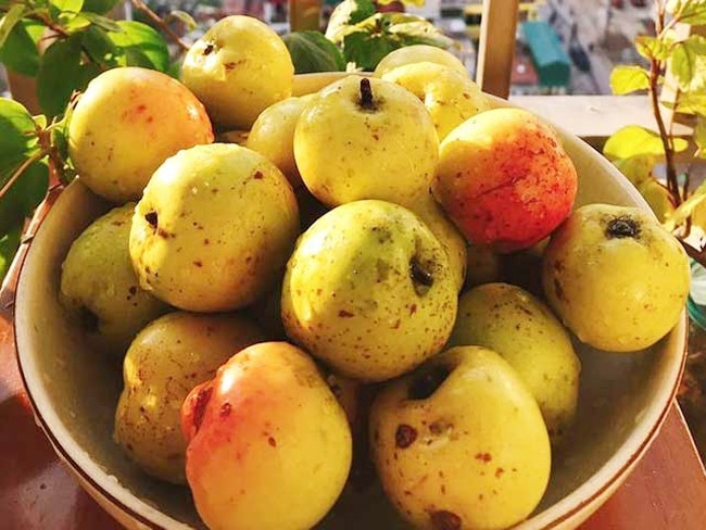 Táo mèo thường có vị chua, hơi chát rất đặc trưng được nhiều người sử dụng để bảo vệ sức khỏe. ẢNh minh họa