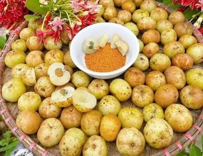 Loại quả &quot;khổ trước sướng sau&quot; mọc hoang ở rừng cực giàu vitamin C. Ảnh minh họa