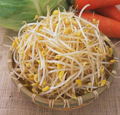 Có một loại rau ăn vào còn hại gan hơn uống rượu, có thể gây ra những tổn thương bất lợi, gây ung thư gan nhưng nhiều người không hề biết, đó là món rau giá đỗ không có rễ. Ảnh minh họa