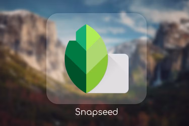 Snapseed là công cụ chỉnh sửa ảnh đẹp nhất dành cho thiết bị iPhone. Ảnh minh họa