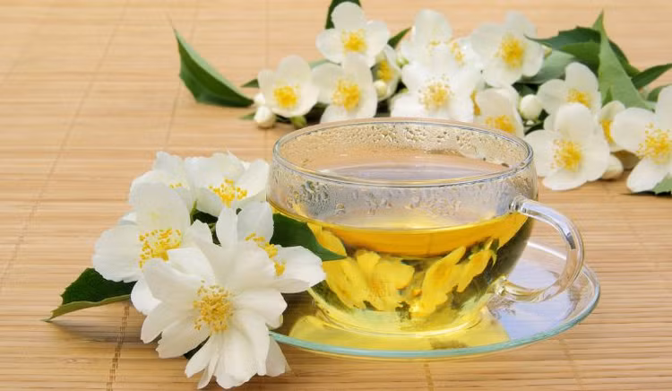 Trà hoa nhài (hoa lài). Ảnh minh họa
