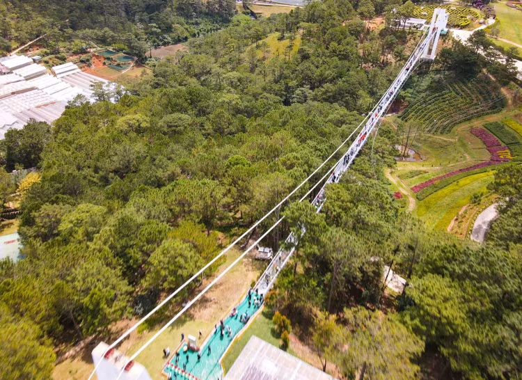 Toàn cảnh Cầu đáy kính Ngàn Thông, nối Đồi mộng mơ với Thung lũng Tình yêu.