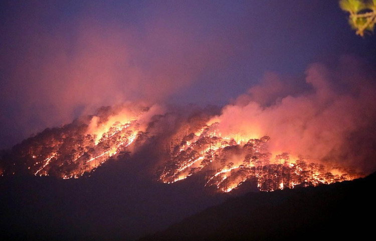 Hiện trường vụ cháy rừng khu vực đèo Prenn.