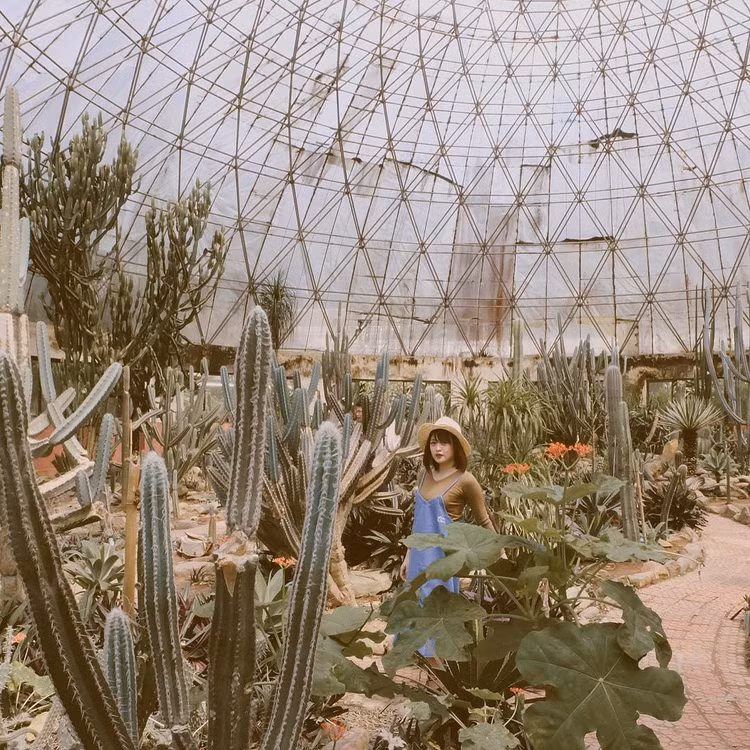 Ảnh 3. Nhà kính xương rồng đầy độc đáo và lạ mắt, hút ánh nhìn du khách. Nguồn ảnh: Sưu tầm