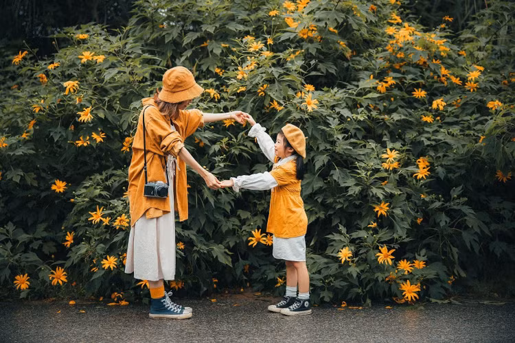 Ảnh 1: Ba Vì là điểm du lịch gần Hà Nội hấp dẫn đặc biệt vào mùa hoa dã quỳ. Nguồn ảnh: ReviewVilla