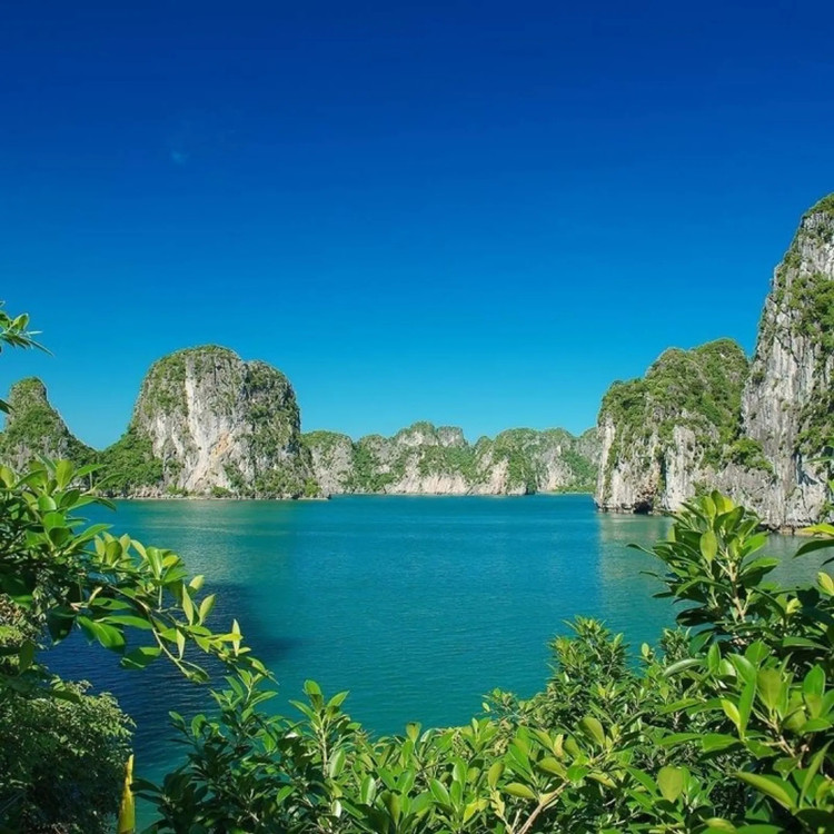 Những bãi cát thoải nằm yên tiếp đón các con sóng nhịp nhàng nối nhau vỗ bờ, kéo theo làn nước biển sạch trong, xanh mát đầy nên thơ. Hòa cùng tiếng sóng rì rào, những chú chim lẩn khuất bên trong các lùm cây gần đó cũng cất tiếng hót líu lo, theo tiếng gió vang vọng khắp một góc trời như làm tăng thêm nét đẹp hoang dã, nguyên sơ của đảo Mắt Rồng. Ảnh iViVu