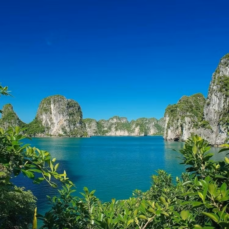 Những bãi cát thoải nằm yên tiếp đón các con sóng nhịp nhàng nối nhau vỗ bờ, kéo theo làn nước biển sạch trong, xanh mát đầy nên thơ. Hòa cùng tiếng sóng rì rào, những chú chim lẩn khuất bên trong các lùm cây gần đó cũng cất tiếng hót líu lo, theo tiếng gió vang vọng khắp một góc trời như làm tăng thêm nét đẹp hoang dã, nguyên sơ của đảo Mắt Rồng. Ảnh iViVu