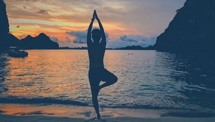 Đảo Mắt Rồng Hạ Long quả thực là một điểm đến lý tưởng cho những ai yêu thích vẻ đẹp tự nhiên, hoang sơ và nguyên bản. Ảnh Vinpearl