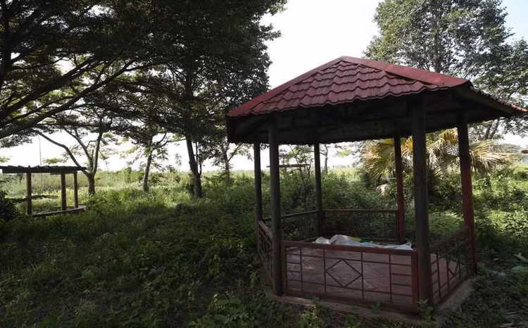 Theo ghi nhận, trong dự án có khoảng 6 khu được đặt làm công viên nhưng đều bị xuống cấp, cỏ mọc um tùm.