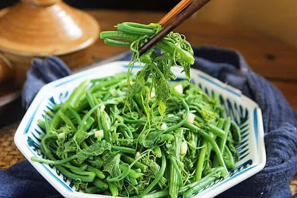 Lợi ích của ngọn su su đối với sức khỏe. Ảnh minh họa