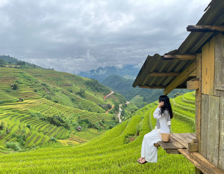 Check in đồi mâm xôi lớn xã La Pán Tẩn được ví như những “dấu vân tay của trời”