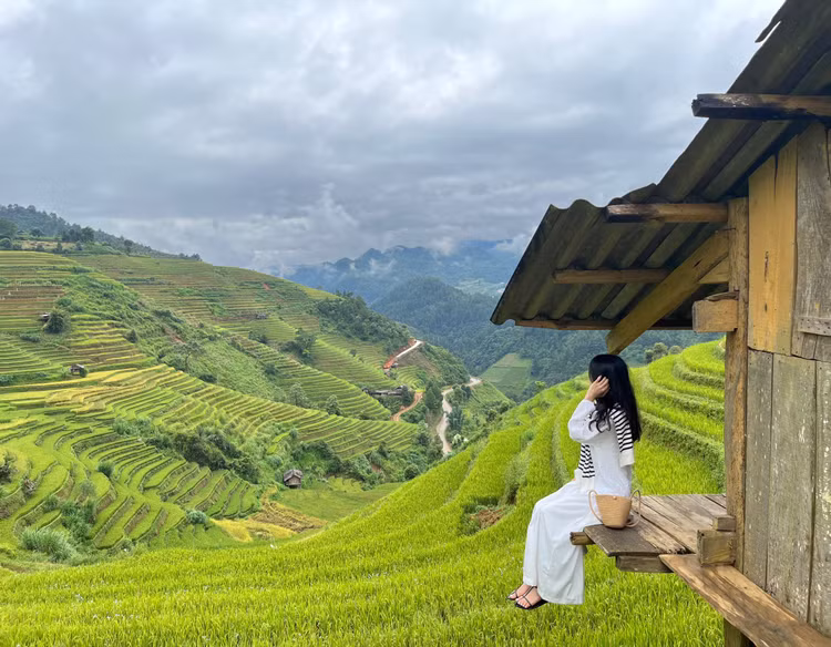 Check in đồi mâm xôi lớn xã La Pán Tẩn được ví như những “dấu vân tay của trời”