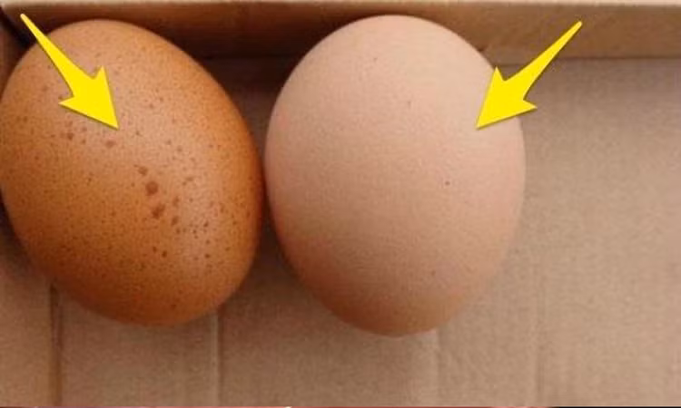 Trứng xuất hiện nhiều vết đốm có biểu hiện hỏng. Ảnh minh họa