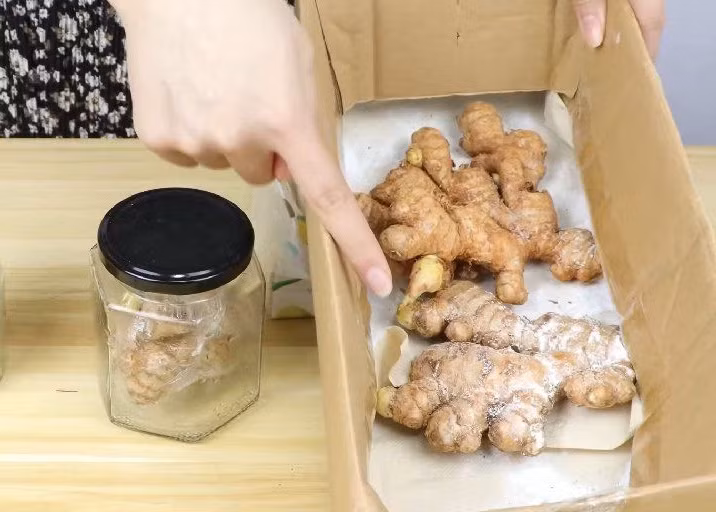 Gừng để lâu sinh ra độc tố gây hại cho sức khỏe. Ảnh minh họa