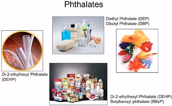 Phthalates cũng là hoá chất được sử dụng trong rất nhiều sản phẩm gia dụng và chăm sóc cá nhân