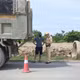 CSGT Hà Nội ‘mạnh tay’ xử lý các xe ô tô chở quá tải 