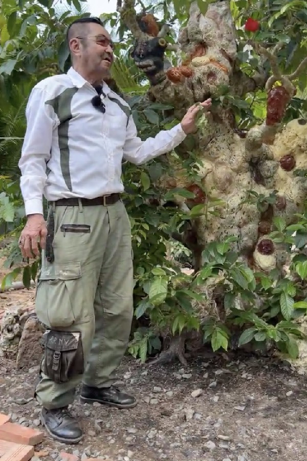 Choang ngop cay co thu gan 70 ty “dep nhat mien Tay”