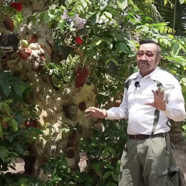 Choang ngop cay co thu gan 70 ty “dep nhat mien Tay”-Hinh-8