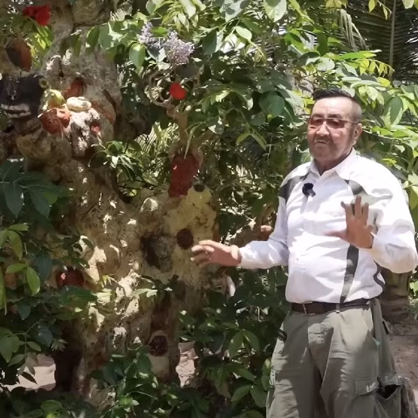 Choang ngop cay co thu gan 70 ty “dep nhat mien Tay”-Hinh-8