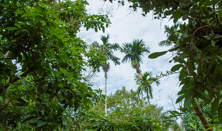 Co gi trong ngoi nha co dep nguyen ban sau 200 nam?-Hinh-12