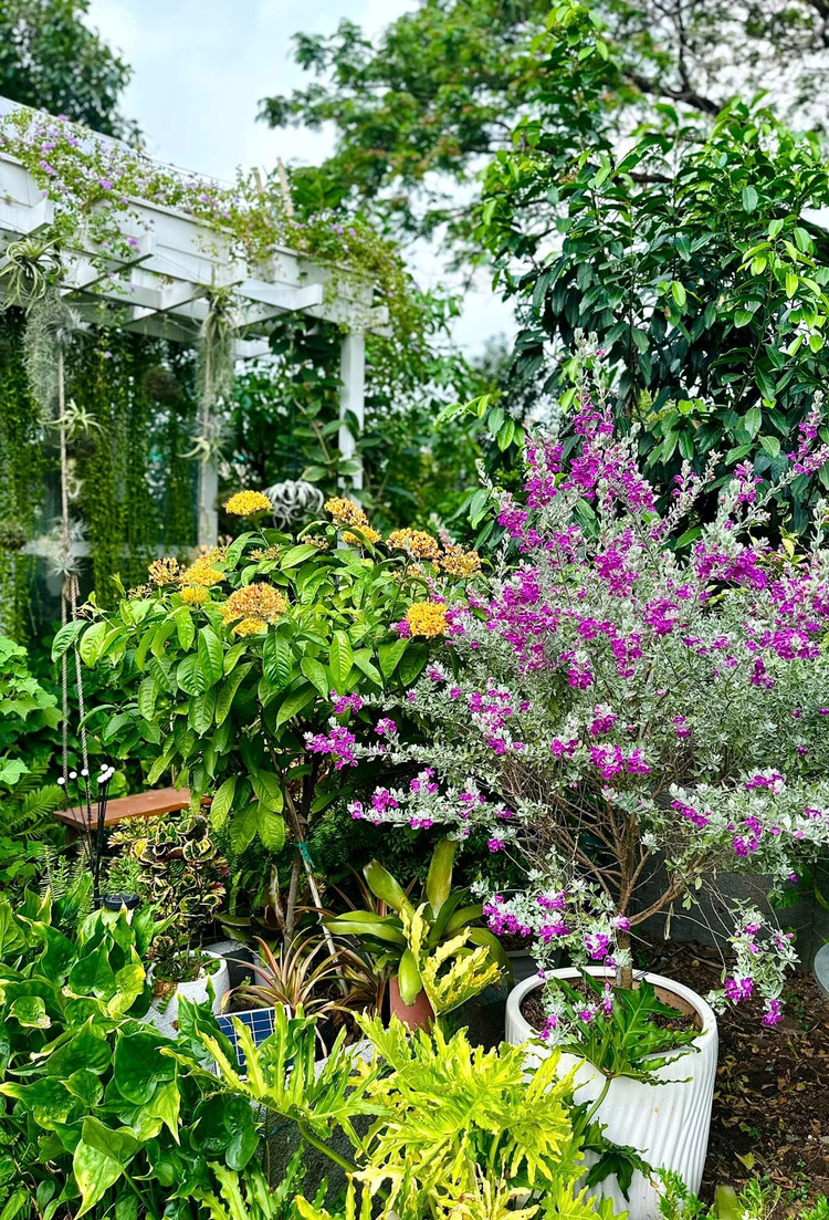 Can canh khu vuon 10.000m2 cua ca si My Le o TP HCM-Hinh-6