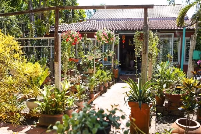 Nha vuon 3.000m2 cua “nam than” dai gia ngam showbiz Viet-Hinh-6