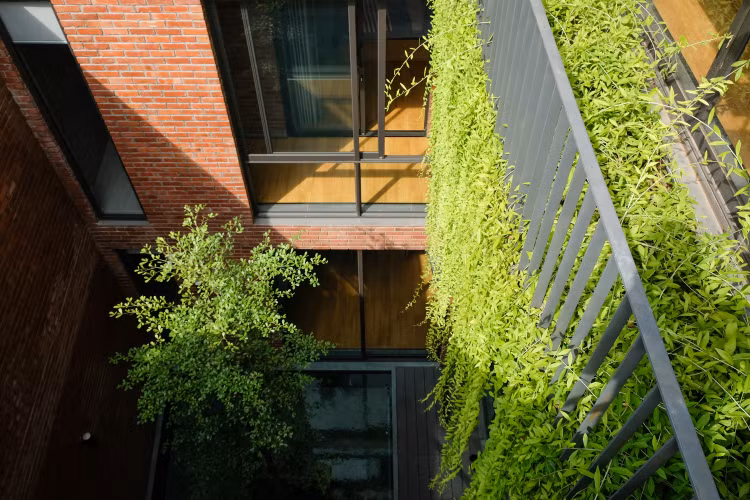 Bao My nuc no khen nha gach do lot giua lop cay xanh mat-Hinh-2