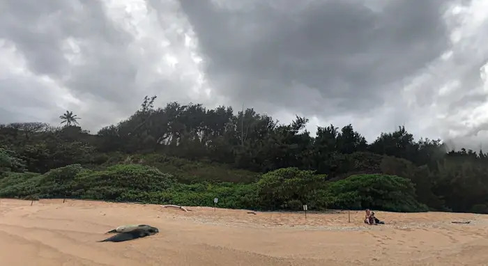 Khoi tai san khong lo cua Mark Zuckerberg tren khap nuoc My-Hinh-11