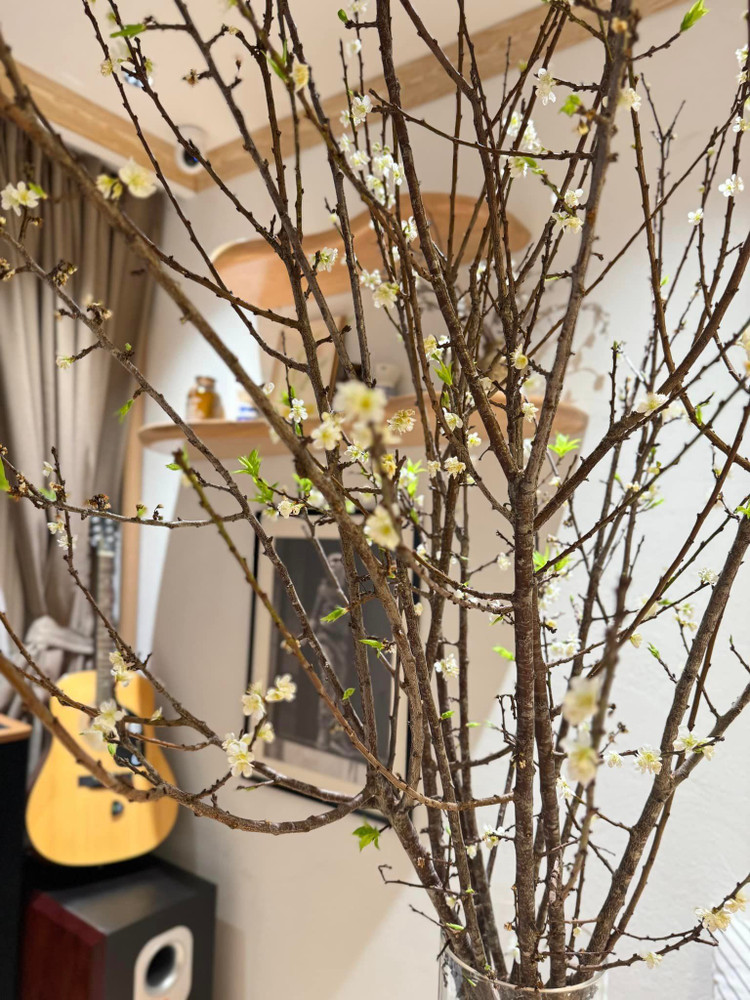 Can canh can nha view trieu do cua ban gai Huynh Anh-Hinh-6