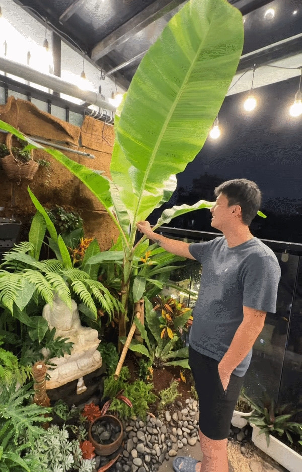 Can canh can nha view trieu do cua ban gai Huynh Anh-Hinh-2