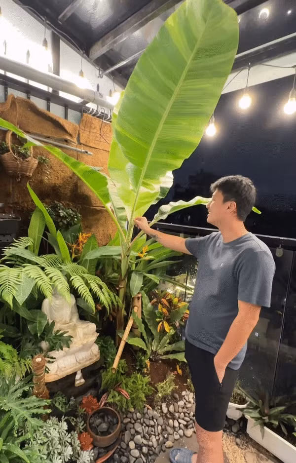 Can canh can nha view trieu do cua ban gai Huynh Anh-Hinh-2