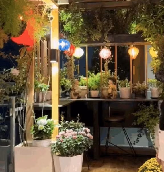 Can canh co ngoi sang chanh cua ca si Bao Anh tai TP HCM-Hinh-10