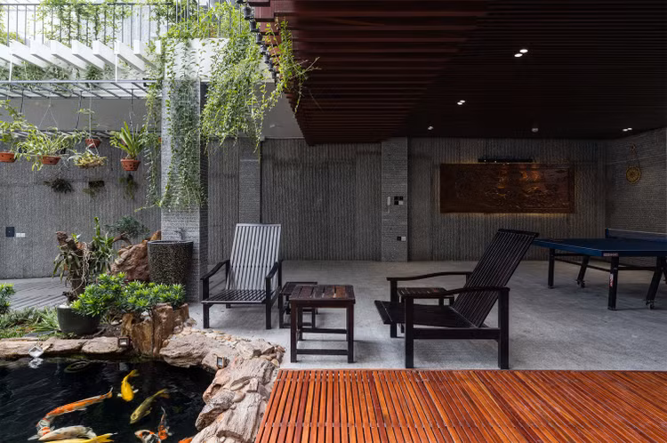 Bao My ngo ngang ngoi nha trong rung cay tren mai o Nha Trang-Hinh-8