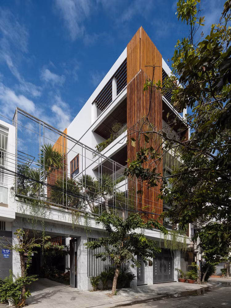 Bao My ngo ngang ngoi nha trong rung cay tren mai o Nha Trang