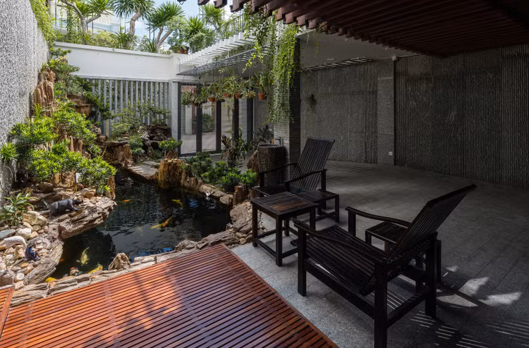 Bao My ngo ngang ngoi nha trong rung cay tren mai o Nha Trang-Hinh-7