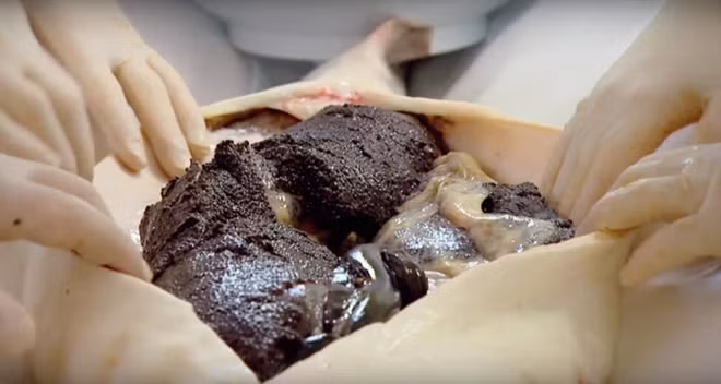 Ly do gi khien trung ca Caviar dat bac nhat hanh tinh?-Hinh-3