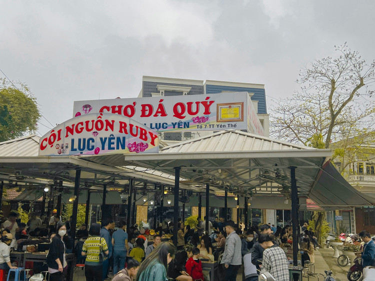 Ben trong phien cho da quy bay ban nhu rau tai Viet Nam-Hinh-11