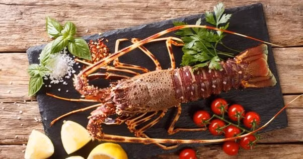 Yeu to nao khien gia tom hum luon cao ngat nguong?-Hinh-8