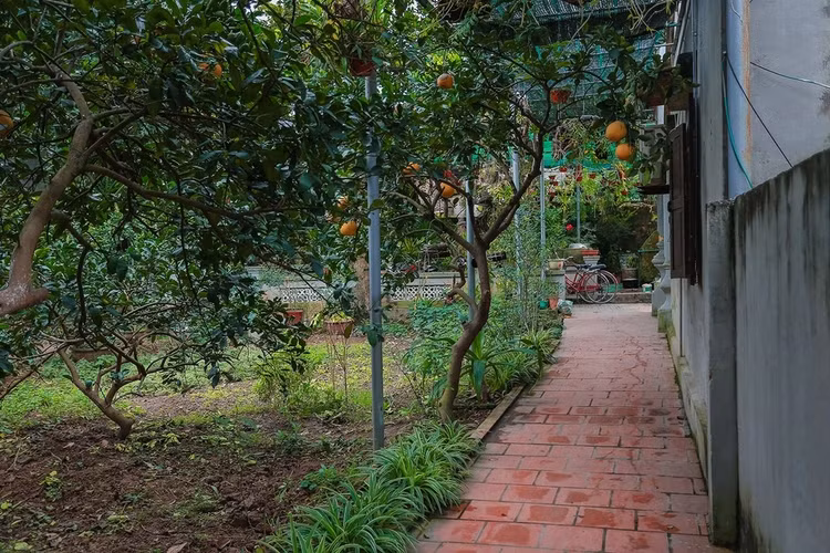 Ve dep cua ngoi nha co 200 tuoi “hiem co” giua Ha Noi-Hinh-10