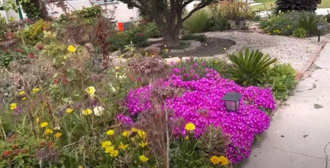 Biet thu tren doi gay choang cua danh hai Thuy Nga tai My-Hinh-10