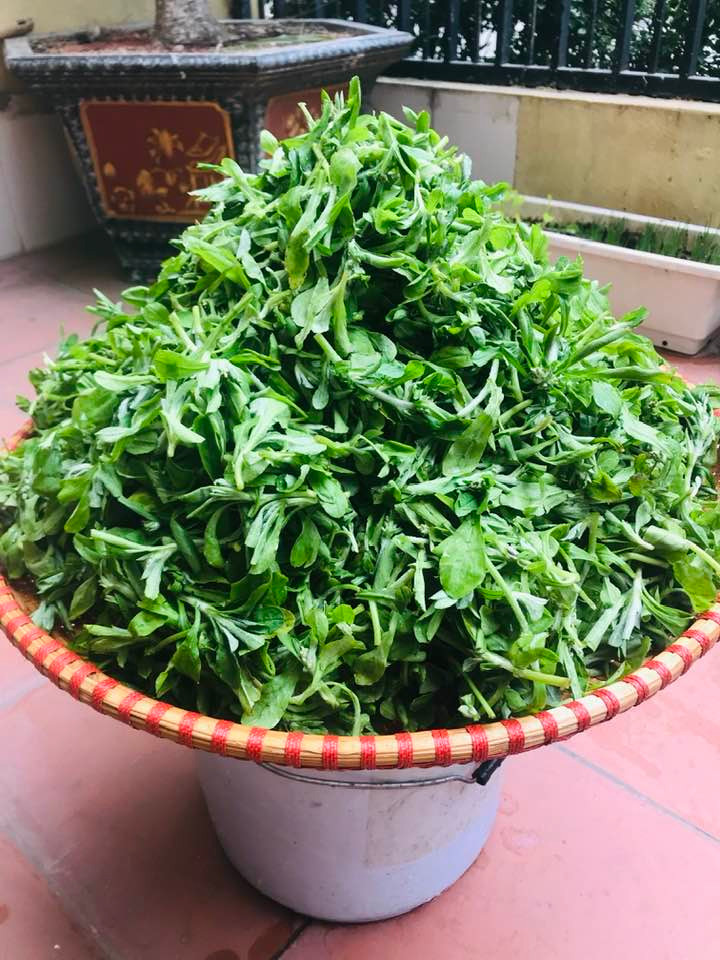 3 loai rau dai cho lon an thanh dac san hut khach thanh pho-Hinh-7