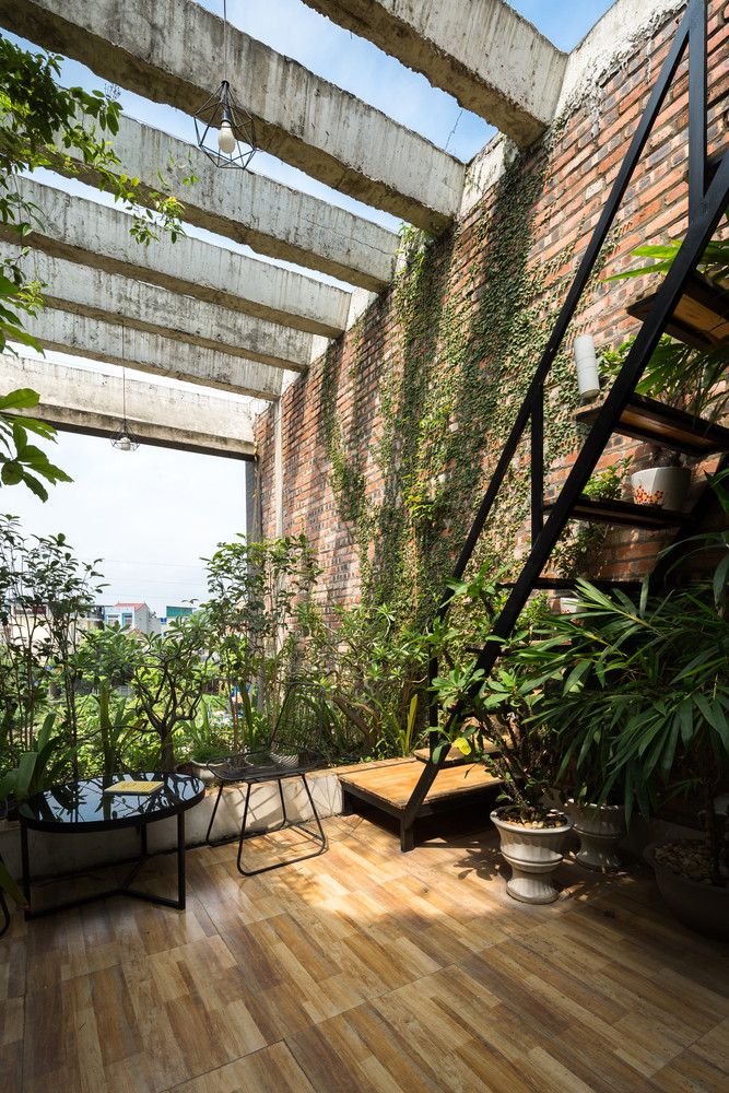 Bao My nuc no khen nha ong ngap cay xanh o Bac Ninh-Hinh-3