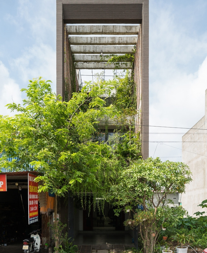 Bao My nuc no khen nha ong ngap cay xanh o Bac Ninh